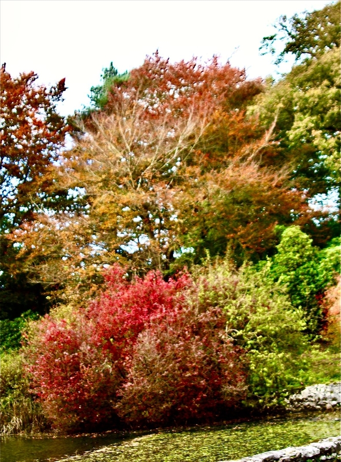 Autumn Colours 3 - Brian Daley